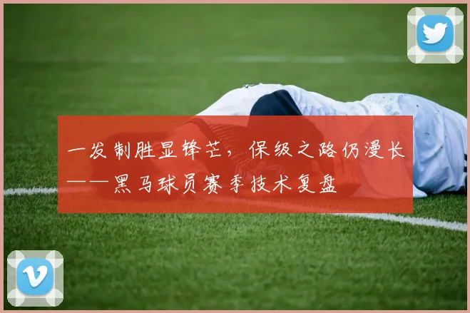 一发制胜显锋芒,保级之路仍漫长——黑马球员赛季技术复盘 - 万彩官网APP推荐
