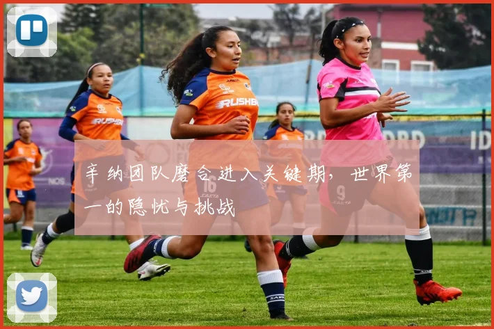 辛纳团队磨合进入关键期，世界第一的隐忧与挑战 - 万彩官网APP推荐