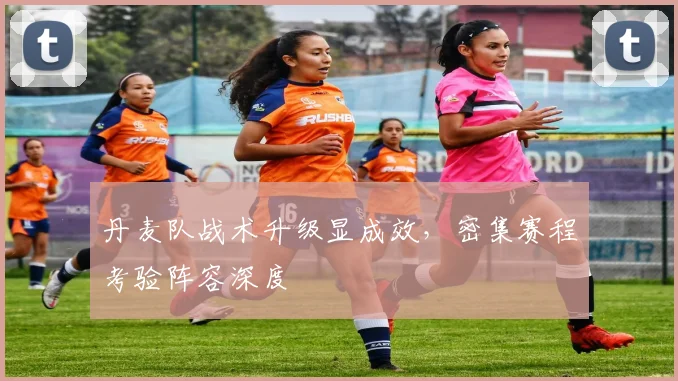 丹麦队战术升级显成效，密集赛程考验阵容深度 - 万彩官网APP推荐