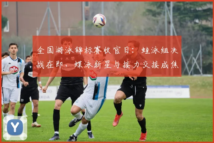 全国游泳锦标赛收官日：蛙泳组决战在即，蝶泳新星与接力交接成焦点 - 万彩官网APP推荐