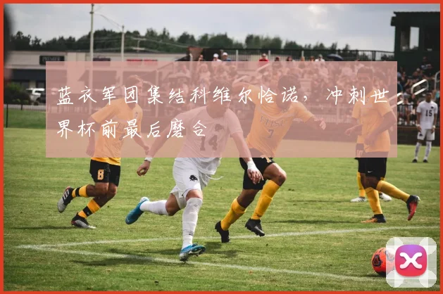 蓝衣军团集结科维尔恰诺，冲刺世界杯前最后磨合 - 万彩官网APP推荐